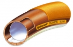 Continental Olympic